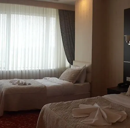 特美尔大酒店